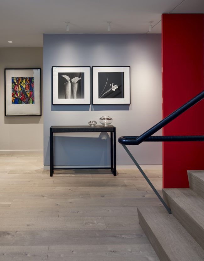 HOUSE FOR AN ART COLLECTOR